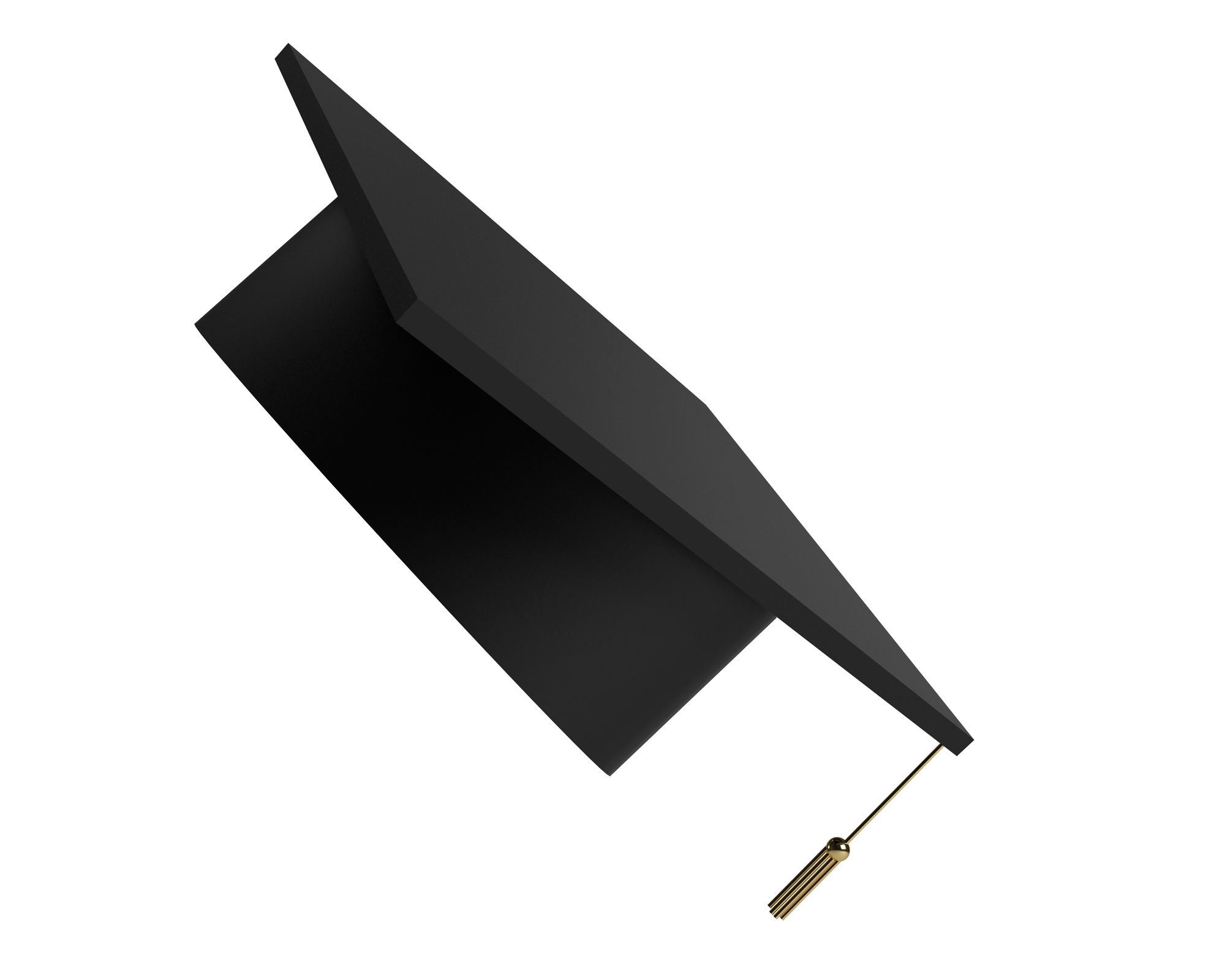 Hat cap black color symbol decoration ornament congratulation graduate learning study education scho